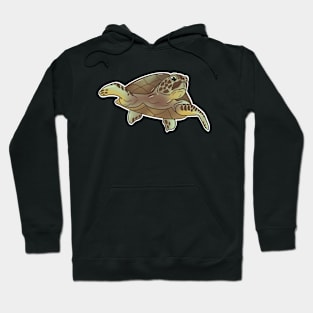 Sea Turtle Smiles Hoodie